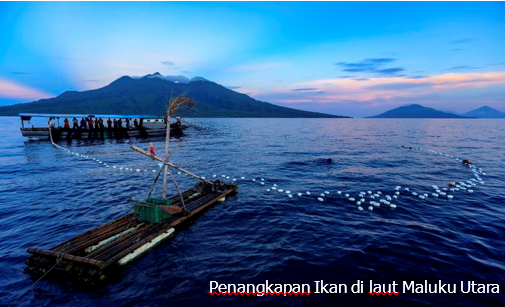 KOMODITAS UNGGULAN SEKTOR PERIKANAN HALMAHERA BARAT